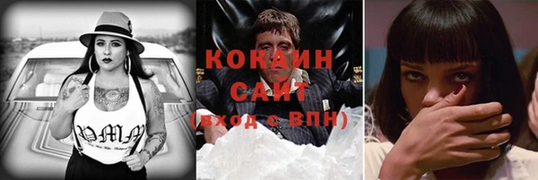 соль ск Алзамай