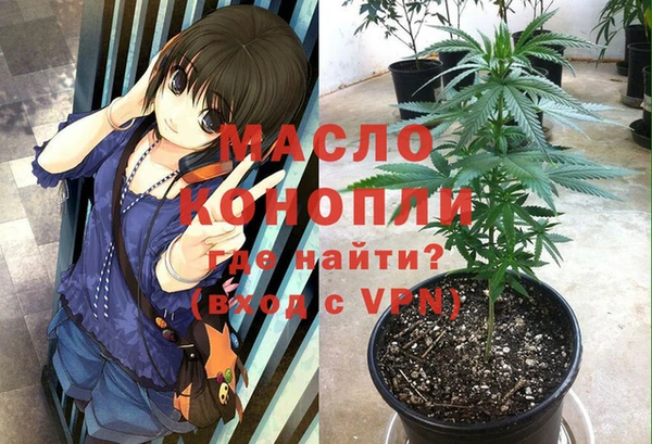 соль ск Алзамай