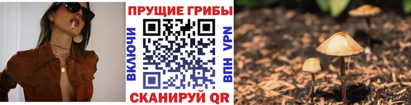 Галлюциногенные грибы ЛСД как найти наркотики blacksprut сайт Переславль-Залесский