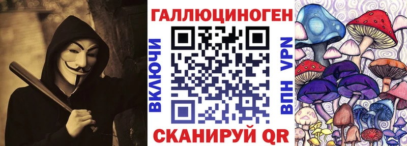 Псилоцибиновые грибы Cubensis Переславль-Залесский